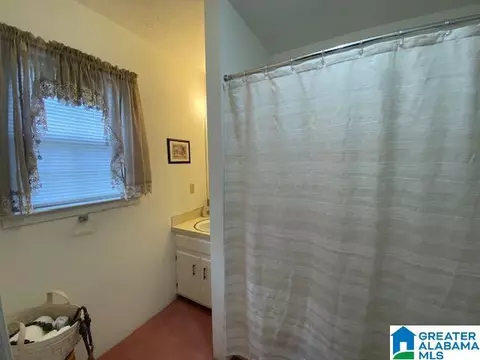 Bath - 136 Lee Lanier Rd, Eclectic, AL 36024 photo 1 of 2