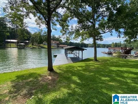 View/Area - 136 Lee Lanier Rd, Eclectic, AL 36024 photo 1 of 1