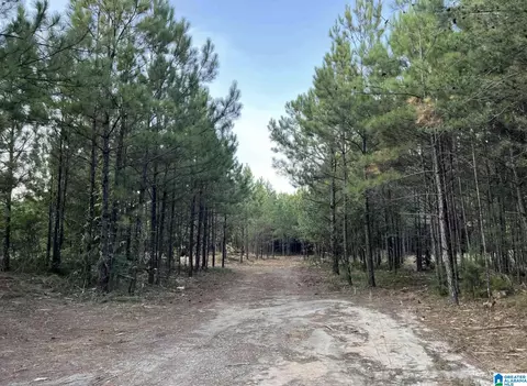 2210 Sweeney Hollow Rd, Clay, AL 35215