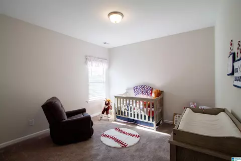 242 Shepherds Loop, Jasper, AL 35504 photo 30