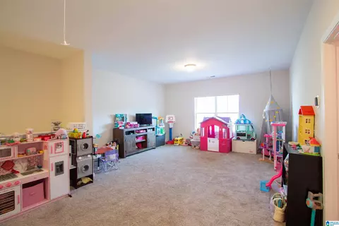 242 Shepherds Loop, Jasper, AL 35504 photo 24