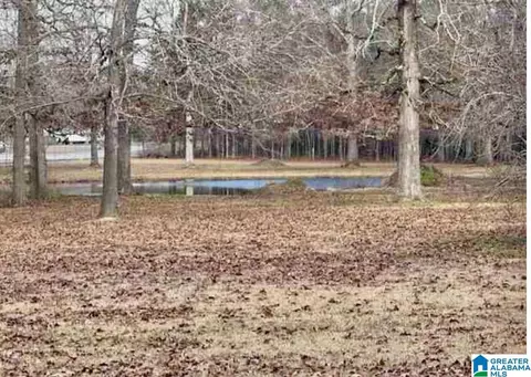 1463 Steele Sta, Steele, AL 35987 photo 8
