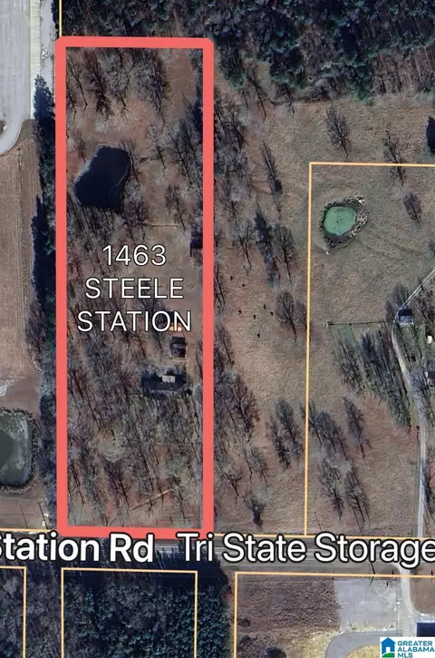 1463 Steele Sta, Steele, AL 35987 photo 9