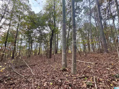 0 County Road 82 Apt 21 - Acres #21 +/- ACRES, Newell, AL 36280