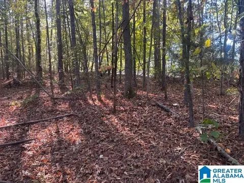 19 Dogwood Rdg #19, Wedowee, AL 36278