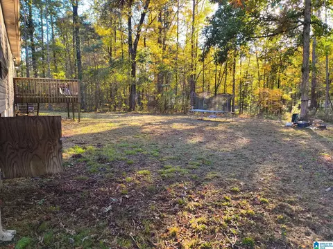 Exterior - 12548 Patsy Dr, Mc Calla, AL 35111 photo 3 of 4