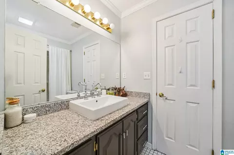 Bath - 6038 Springview Dr, Mount Olive, AL 35117 photo 5 of 6