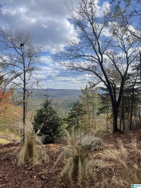 0 Lakeview Rdg #1, Vandiver, AL 35176