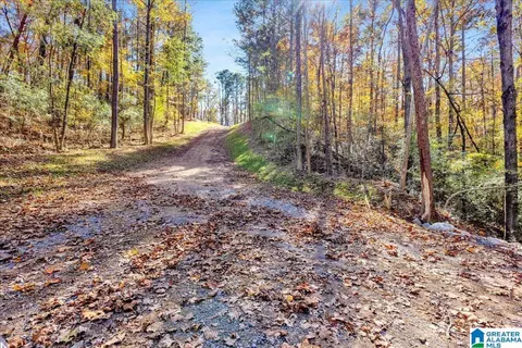 0 Hammock Rd #0, Trussville, AL 35173