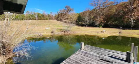 352 Kudzu Rd, Oneonta, AL 35121