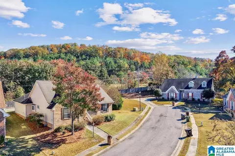 View/Area - 101 Devonshire Pl, Pelham, AL 35124 photo 1 of 2