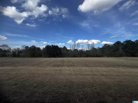 Other - 25 Crest Loop Rd, Clanton, AL 35045 photo 9 of 10