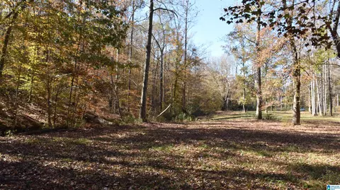 0 Creek Run #16, Sylacauga, AL 35150