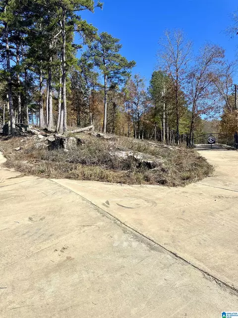 mohawk bluff drive, Ohatchee, AL 36271 photo 5