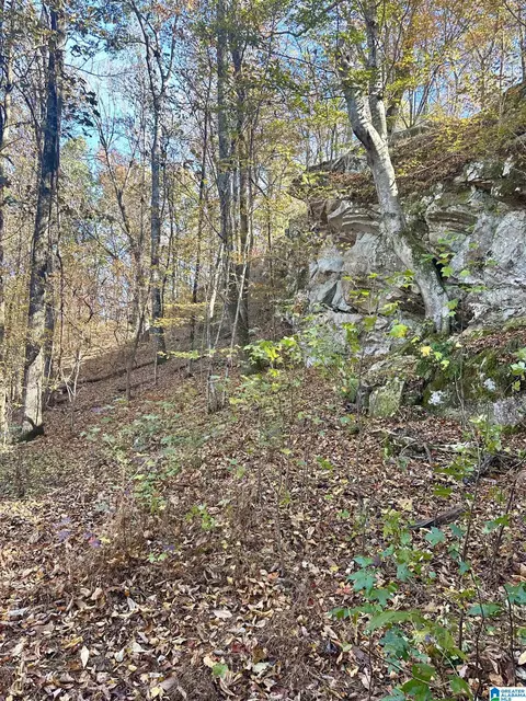 mohawk bluff drive, Ohatchee, AL 36271 photo 31