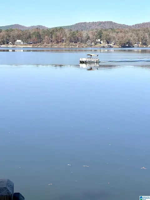 mohawk bluff drive, Ohatchee, AL 36271 photo 25
