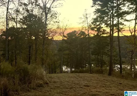 mohawk bluff drive, Ohatchee, AL 36271 photo 34