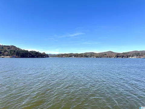 mohawk bluff drive, Ohatchee, AL 36271 photo 23