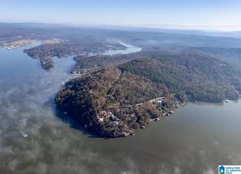 mohawk bluff drive, Ohatchee, AL 36271 photo 41