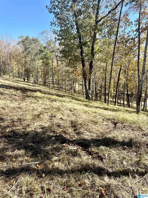 mohawk bluff drive, Ohatchee, AL 36271 photo 32