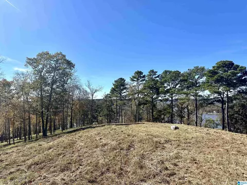 mohawk bluff drive, Ohatchee, AL 36271 photo 33