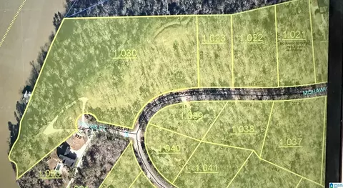 mohawk bluff drive, Ohatchee, AL 36271 photo 43