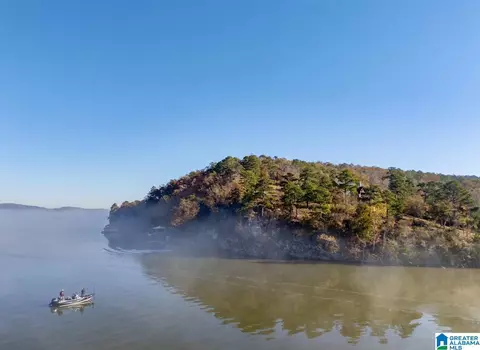 mohawk bluff drive, Ohatchee, AL 36271 photo 42