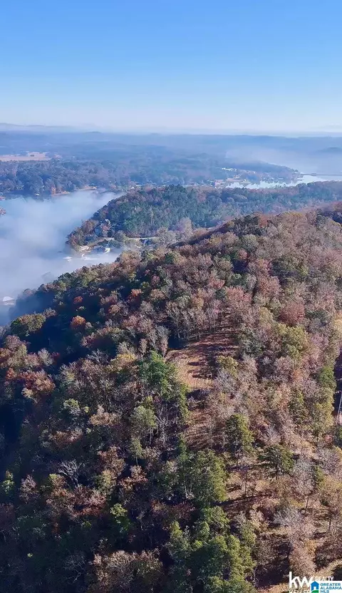 mohawk bluff drive, Ohatchee, AL 36271 photo 27