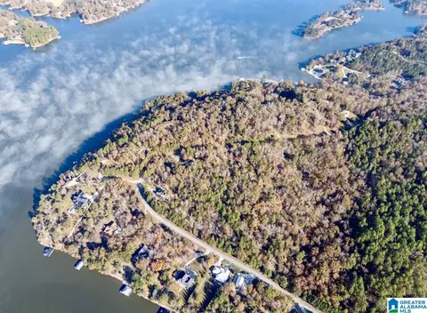 mohawk bluff drive, Ohatchee, AL 36271 photo 40