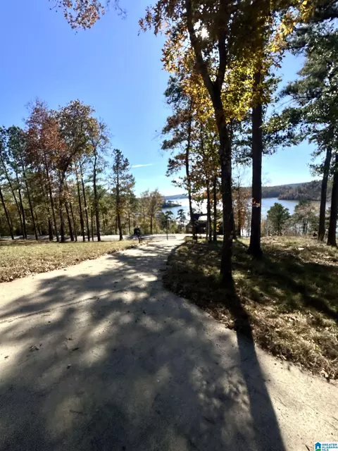 mohawk bluff drive, Ohatchee, AL 36271 photo 4