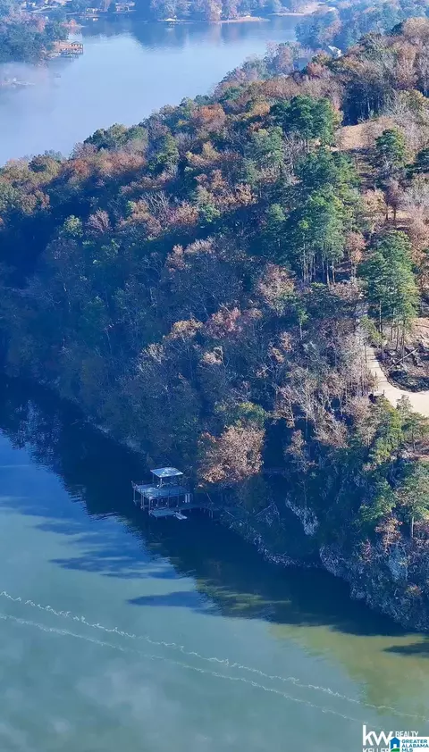 mohawk bluff drive, Ohatchee, AL 36271