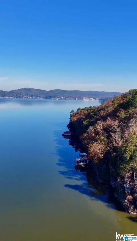 mohawk bluff drive, Ohatchee, AL 36271 photo 21