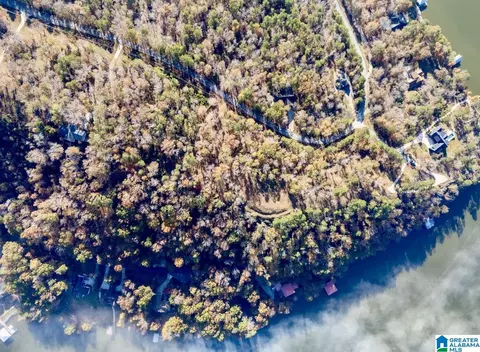 mohawk bluff drive, Ohatchee, AL 36271 photo 39