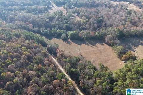 330 County Road 1055 #1, Montevallo, AL 35115