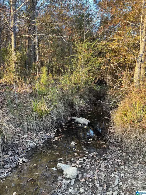 11 Acres Riser Mill Rd #11 ACRES, Alpine, AL 35014 photo 9