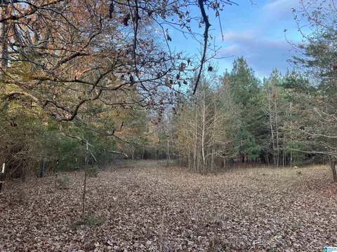 11 Acres Riser Mill Rd #11 ACRES, Alpine, AL 35014 photo 18