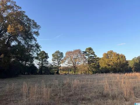 11 Acres Riser Mill Rd #11 ACRES, Alpine, AL 35014 photo 7