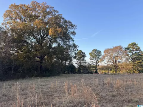 11 Acres Riser Mill Rd #11 ACRES, Alpine, AL 35014