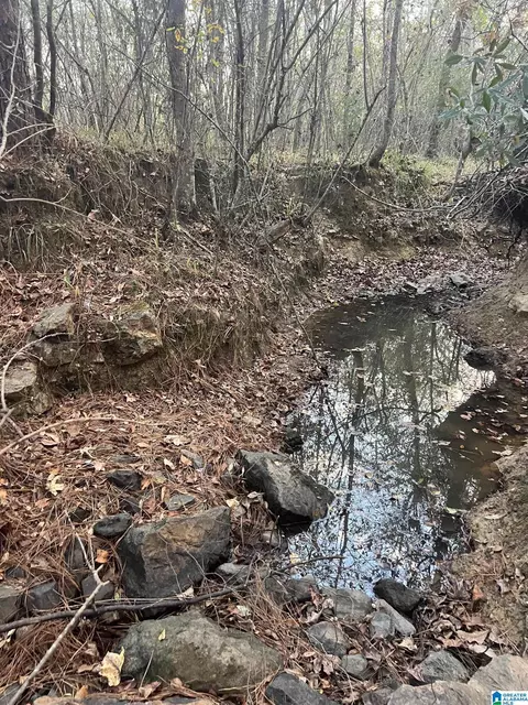 11 Acres Riser Mill Rd #11 ACRES, Alpine, AL 35014 photo 22