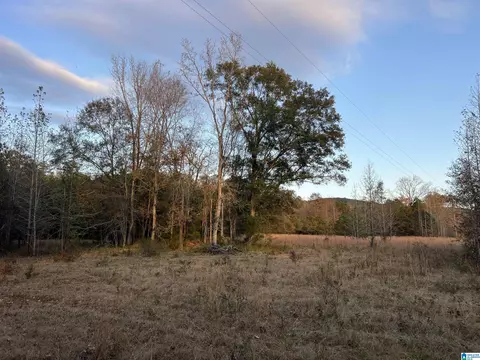 11 Acres Riser Mill Rd #11 ACRES, Alpine, AL 35014 photo 16