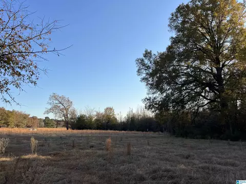 11 Acres Riser Mill Rd #11 ACRES, Alpine, AL 35014 photo 3