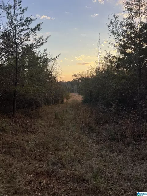 11 Acres Riser Mill Rd #11 ACRES, Alpine, AL 35014 photo 21