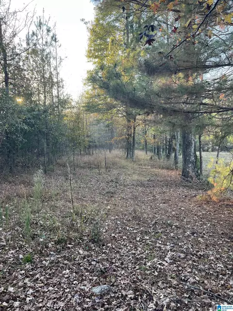 11 Acres Riser Mill Rd #11 ACRES, Alpine, AL 35014 photo 6