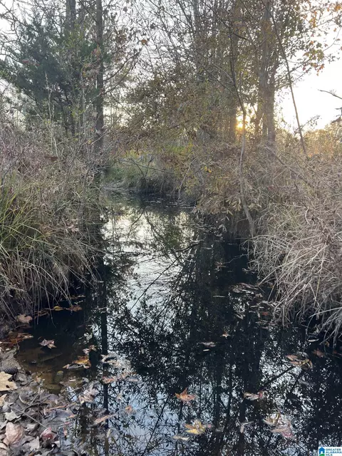 11 Acres Riser Mill Rd #11 ACRES, Alpine, AL 35014 photo 8
