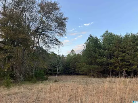 11 Acres Riser Mill Rd #11 ACRES, Alpine, AL 35014 photo 14