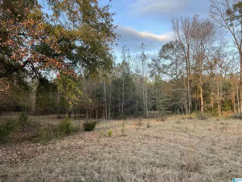 11 Acres Riser Mill Rd #11 ACRES, Alpine, AL 35014 photo 17