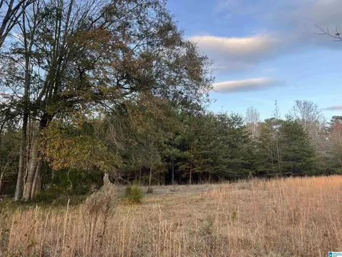 11 Acres Riser Mill Rd #11 ACRES, Alpine, AL 35014 photo 15