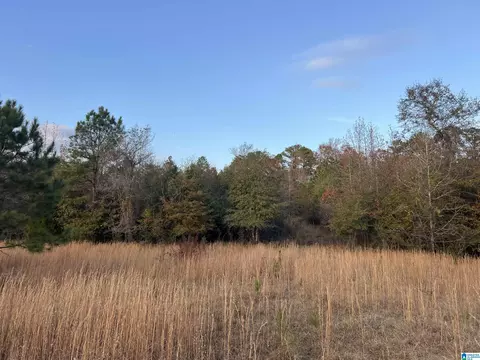 11 Acres Riser Mill Rd #11 ACRES, Alpine, AL 35014 photo 12