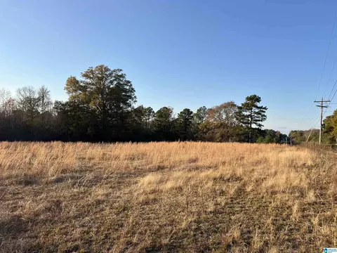 11 Acres Riser Mill Rd #11 ACRES, Alpine, AL 35014 photo 2