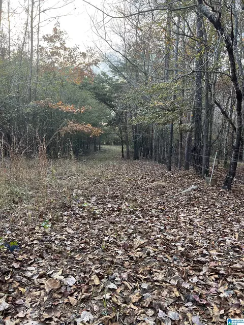 11 Acres Riser Mill Rd #11 ACRES, Alpine, AL 35014 photo 20